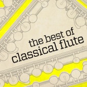 Flute Sonata in D Major, Op. 94: III. Andante artwork