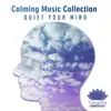 Stream & download Calming Music Collection: Quiet Your Mind After Long Day, Relaxation Meditation