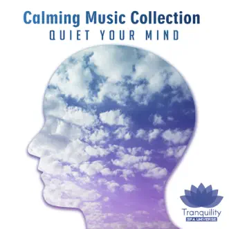 Calming Music Collection: Quiet Your Mind After Long Day, Relaxation Meditation by Tranquility Spa Universe album reviews, ratings, credits