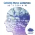 Calming Music Collection: Quiet Your Mind After Long Day, Relaxation Meditation album cover