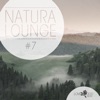 Natura Lounge, Vol. 7, 2017