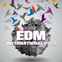 Various Artists - EDM International, Vol. 1 artwork