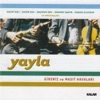 Hayri Dev - Kaya Zeybeği