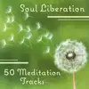 Soul Liberation – 50 Meditation Tracks: Peace of Mind, Celestial Ambient, Music for Reflection, Deep Liquid Thoughts, Spiritual Retreat album lyrics, reviews, download