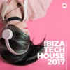 Ibiza Tech House 2017