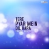 Yousuf Bhatti - Kitni Purdard Aur Akeli