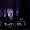 The Enigma II