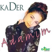 Kader Diyelim Gitsin artwork