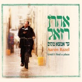 A Servant of Hashem (feat. Mordechai Ben David) artwork