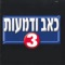 לעולם לא תבין artwork