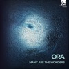 Many are the Wonders artwork