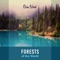 Life Sounds Nature - Osin Wood lyrics