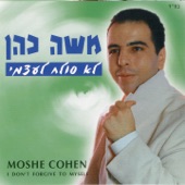 נשבעתי בשתי עיניי artwork