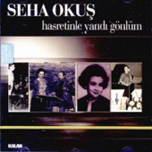 Hasretinle Yandı Gönlüm - Seha Okuş