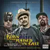 Stream & download Born and Raised in Cali (feat. Dannyboy, Chris Gomez & Lu) - Single