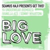 Ya Underwear (Remixes) [Seamus Haji Presents] - EP