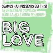 Seamus Haji - Ya Underwear - Vanilla Ace Remix