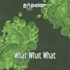 What What What (Club Mix) - Single album lyrics, reviews, download