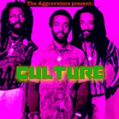 The Aggrovators Present Culture artwork