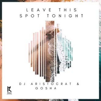 Leave This Spot Tonight by DJ Aristocrat & Gosha song reviws