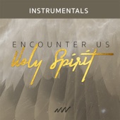 Rest Upon Us Holy Spirit (Instrumental) artwork