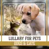 Lullaby for Pets: Dogs & Cats – Calming Therapy Music for Relaxation, Stress Relief, Cleanse of Negative Energy, Time to Slumber, Sleep Aid album lyrics, reviews, download