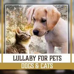 Lullaby for Pets: Dogs & Cats – Calming Therapy Music for Relaxation, Stress Relief, Cleanse of Negative Energy, Time to Slumber, Sleep Aid by Pet Care Club album reviews, ratings, credits