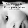 Stream & download Canciones de Cuna para Bebes: Música Relajante Nueva Era