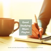 Good Studying Music Playlist: Gentle and Calm Classical Music to Help You Concentrate and Stay Focused artwork