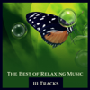 The Best of Relaxing Music – 111 Tracks: New Age & Nature Sounds for Relaxation, Massage, Spa, Meditation, Yoga and Sleep - Various Artists