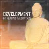 Development of Healing Meditation: Inner Awakening, Relaxing Therapy, Pranic Treatment, Spiritual Harmony, Yoga & Vital Energy album lyrics, reviews, download