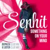 Something on Your Mind (Remixes) - Single album lyrics, reviews, download