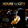 House and the City (30 Hot House Tunes), Vol. 2