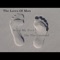 Keep My Feet on the Ground - The Laws of Man lyrics