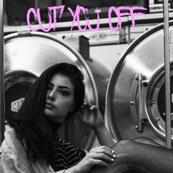 Cover artwork for Cut You Off