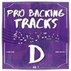 Pro Backing Tracks D, Vol.7
