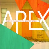 Apex (feat. Jason Moran, Jack DeJohnette & Francois Moutin) artwork