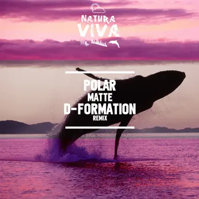 Matte - Single - Polar