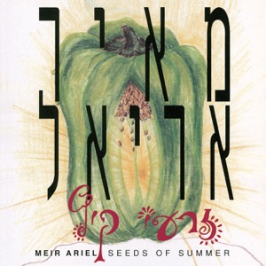 זרעי קיץ