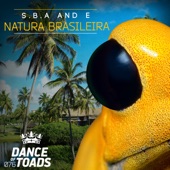 Natura Brasileira artwork