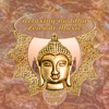 Top 100: Relaxing Buddha Zen Bar Music, Serenity Relaxation, Buddhist Monk Meditation, Reiki Healing