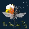 The One Day Fly