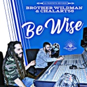 Be Wise artwork
