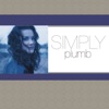 Simply Plumb artwork