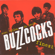 Ever Fallen in Love (with Someone You Shouldn't've)? - Buzzcocks