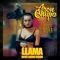 Llama in My Living Room - AronChupa & Little Sis Nora lyrics