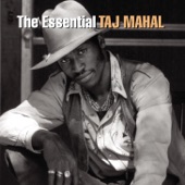 Taj Mahal - Satisfied 'N' Tickled Too