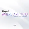 Stream & download Where Are You (feat. Amy Kirkpatrick) - Single