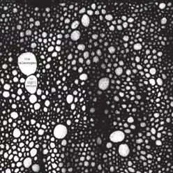 As Light Return - The Telescopes As Light Return - The Telescopes