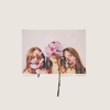 Paradisia - Warpaint
